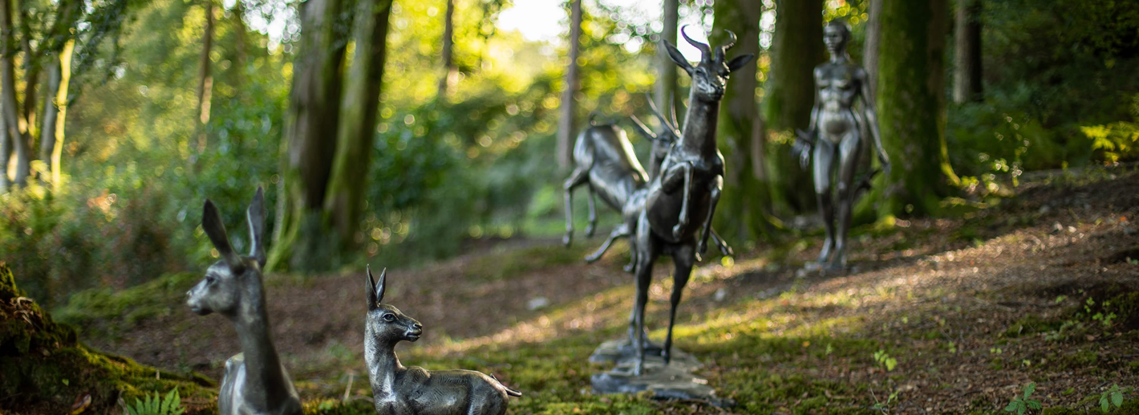 67fcc4af11c61-Linthwaite House - Homecoming by Otto du Plessis@2x